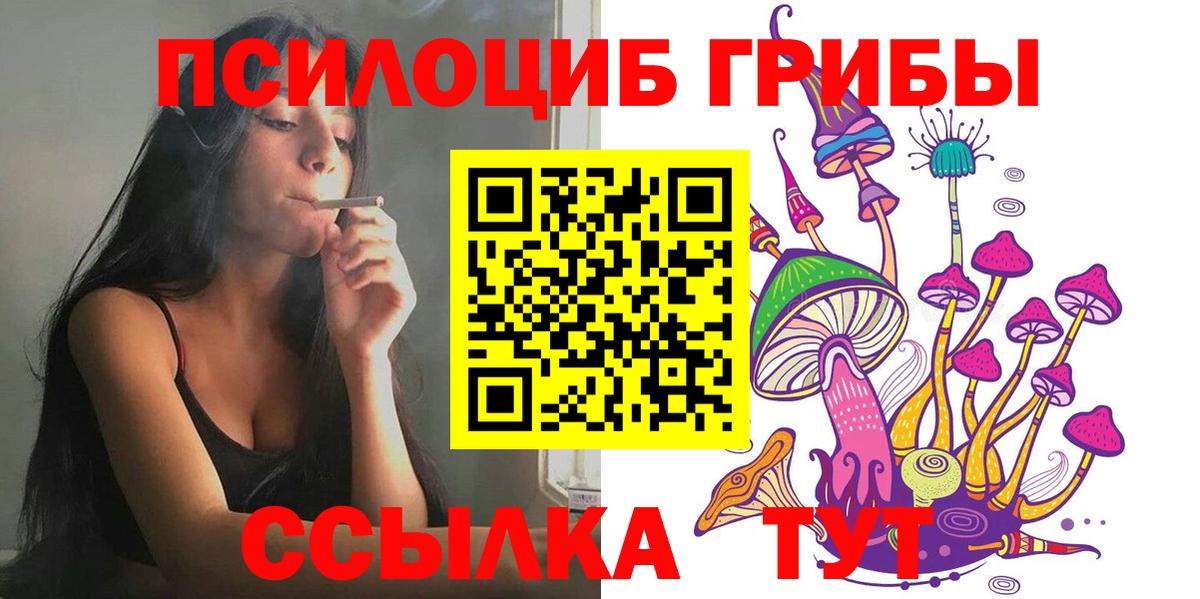 хочу   Вход с VPN  Сызрань  Галлюциногенные грибы Cubensis 